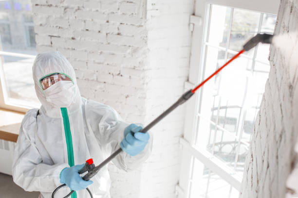 Trusted Mont Belvieu, TX Mold Removal Experts